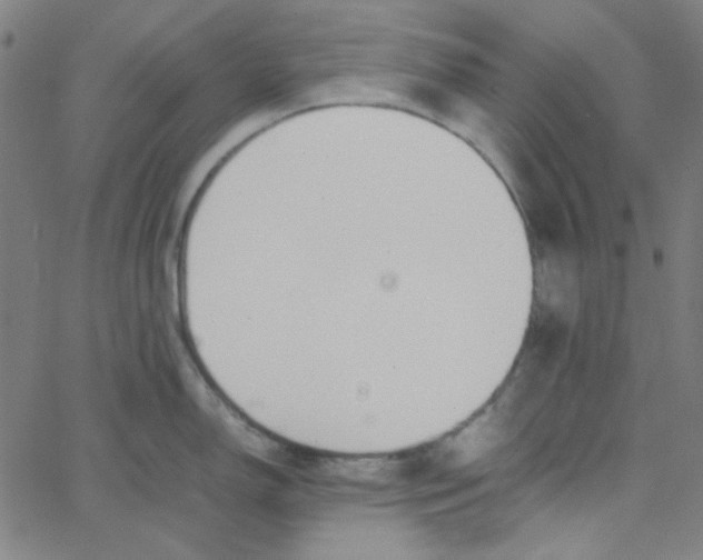 X0000067521150200604281627