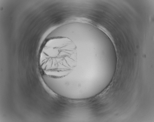 X0000067521152200604281627