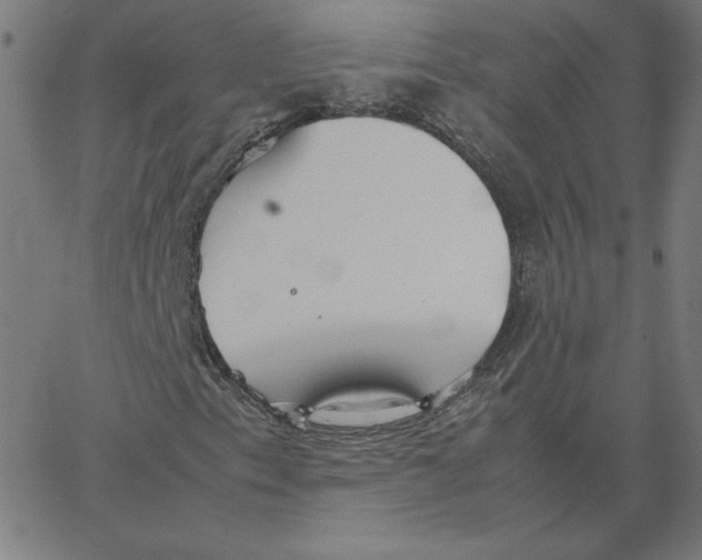 X0000067521153200604281627