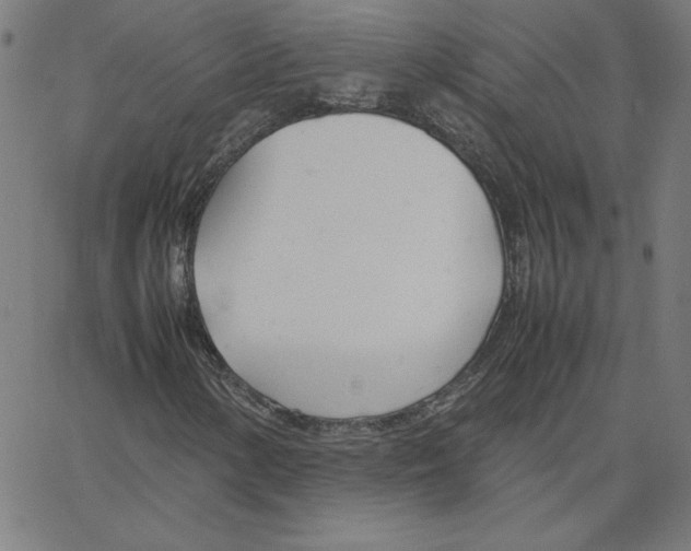 X0000067521154200604281626