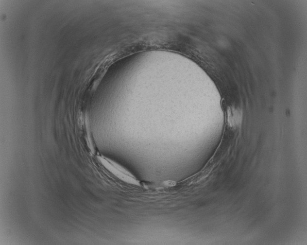 X0000067521155200604281626