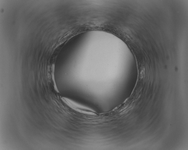 X0000067521156200604281626