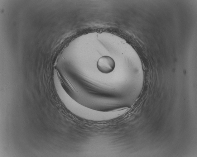 X0000067521157200604281626