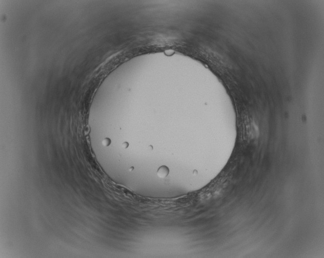 X0000067521158200604281626