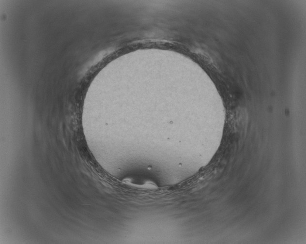 X0000067521159200604281626