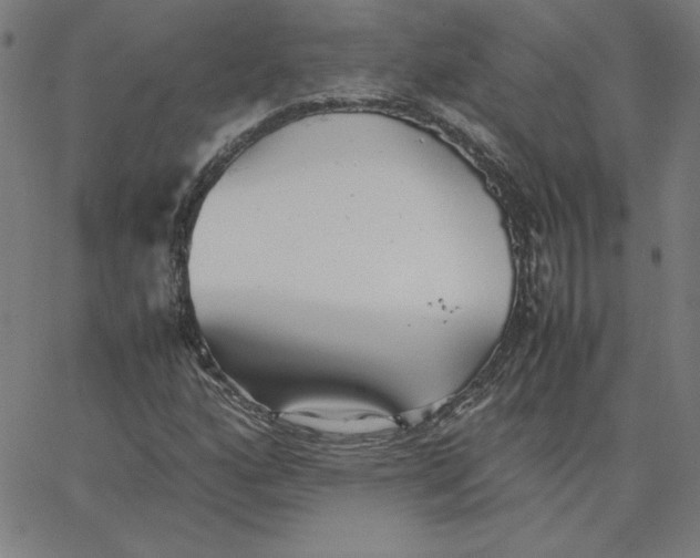 X0000067521160200604281626