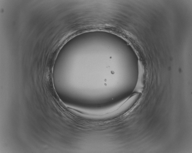 X0000067521161200604281626