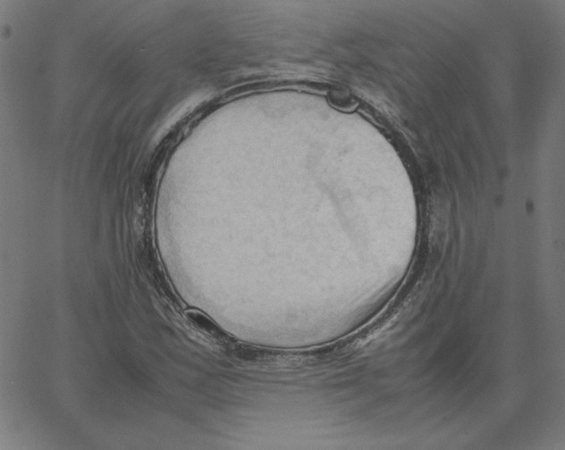 X0000067521163200604281626