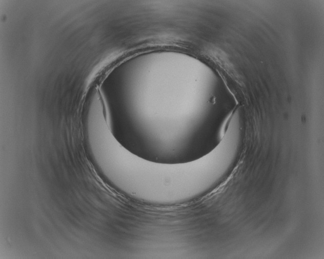 X0000067521164200604281626