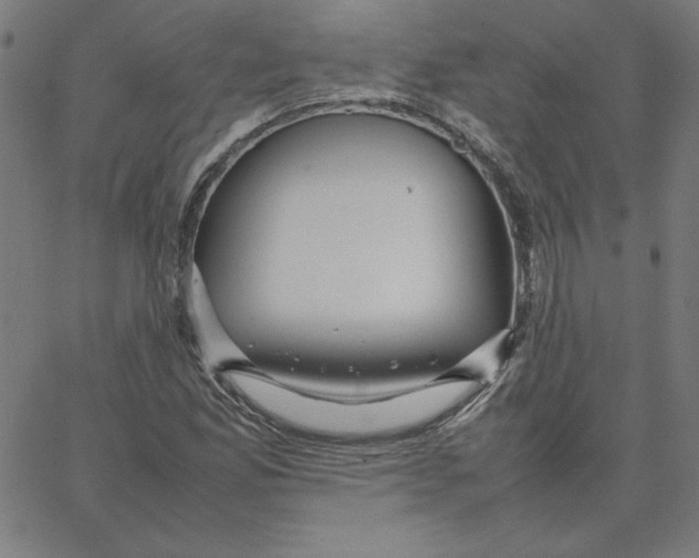 X0000067521165200604281626