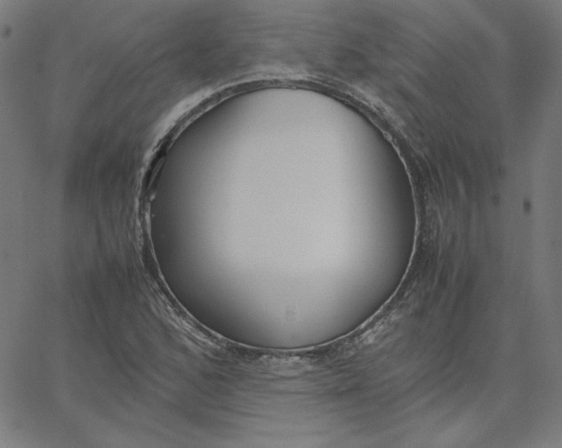 X0000067521168200604281626