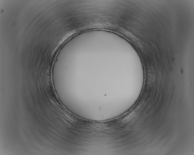 X0000067521170200604281626