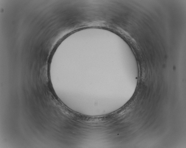 X0000067521174200604281626