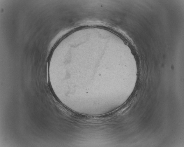 X0000067521175200604281626