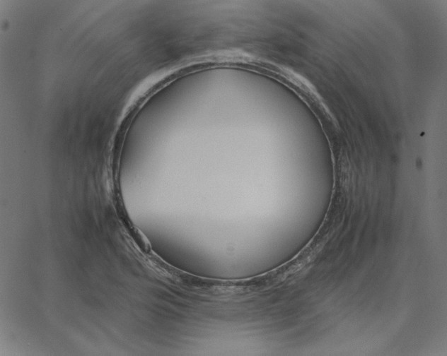 X0000067521176200604281626