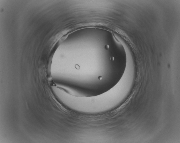 X0000067521177200604281626