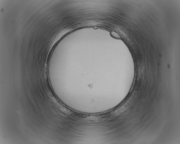 X0000067521178200604281626