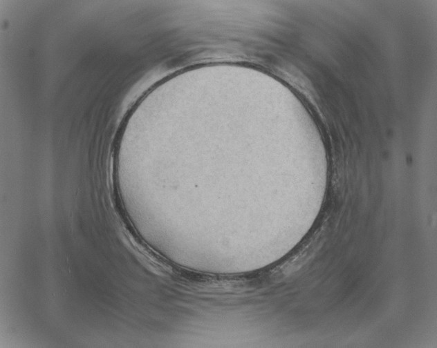 X0000067521179200604281626