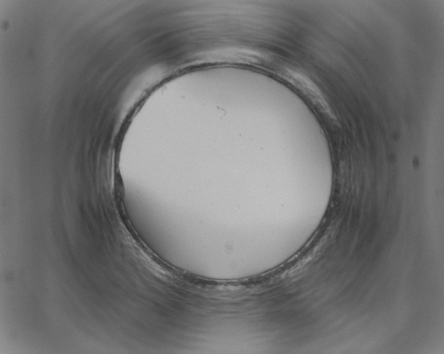 X0000067521180200604281626