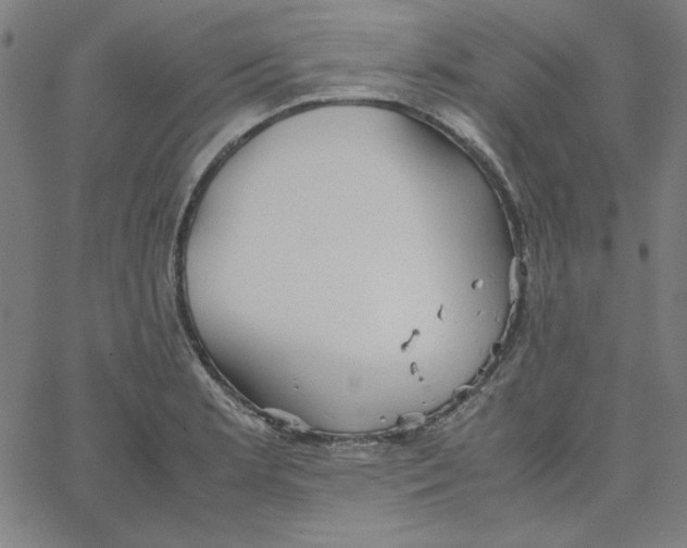 X0000067521181200604281626