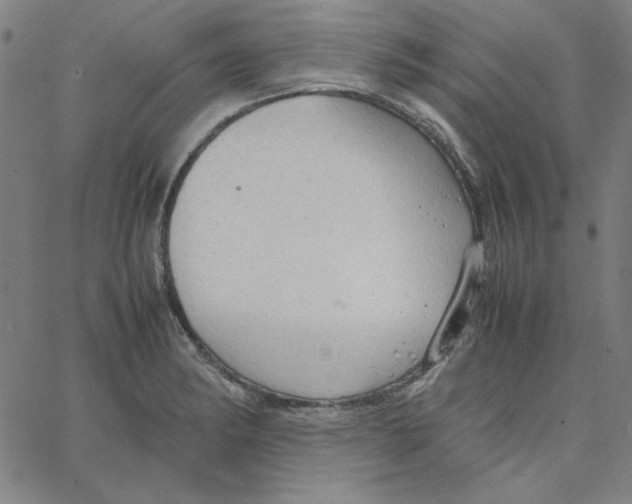 X0000067521182200604281626