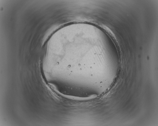 X0000067521183200604281626