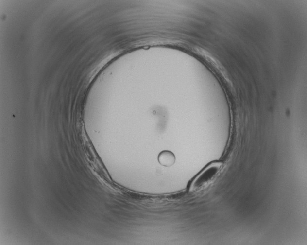 X0000067521185200604281626