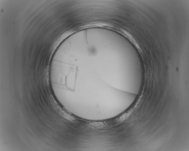 X0000067521186200604281626