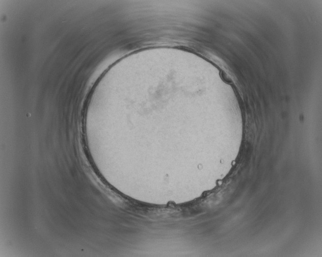 X0000067521187200604281626