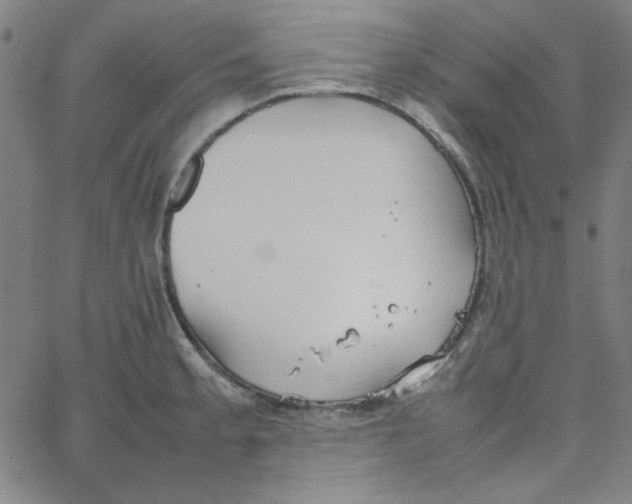 X0000067521189200604281626