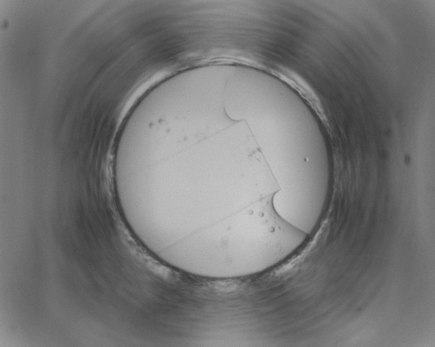 X0000067521190200604281626