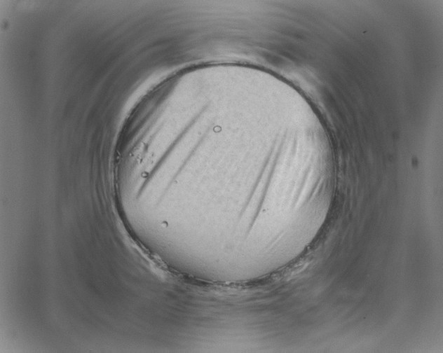 X0000067521191200604281626