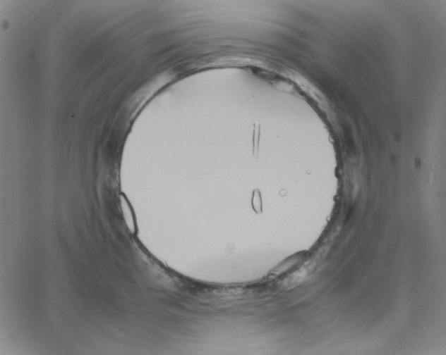 X0000067521193200604281626