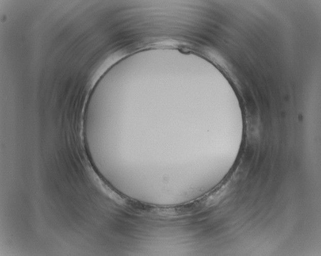 X0000067521194200604281626