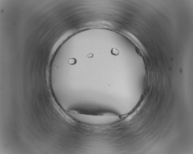 X0000067521196200604281626