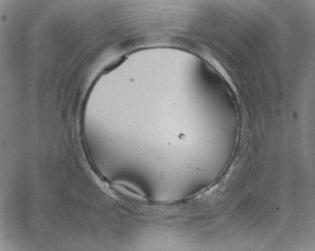 X0000067521197200604281626