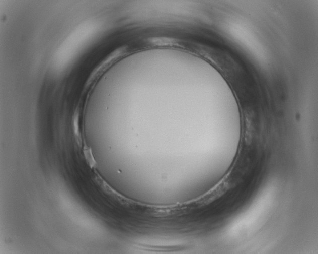 X0000067521198200604281626