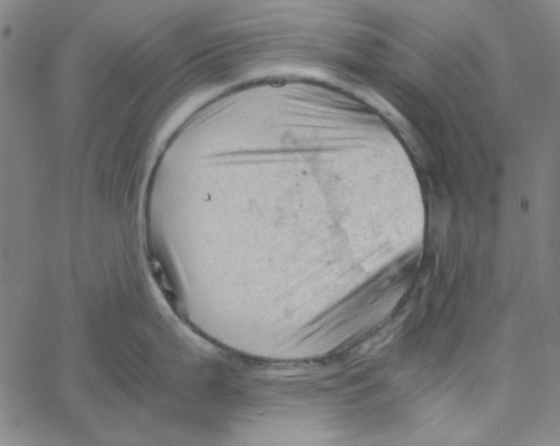 X0000067521199200604281626