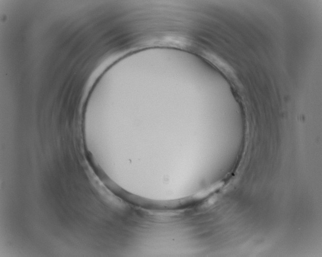 X0000067521200200604281626