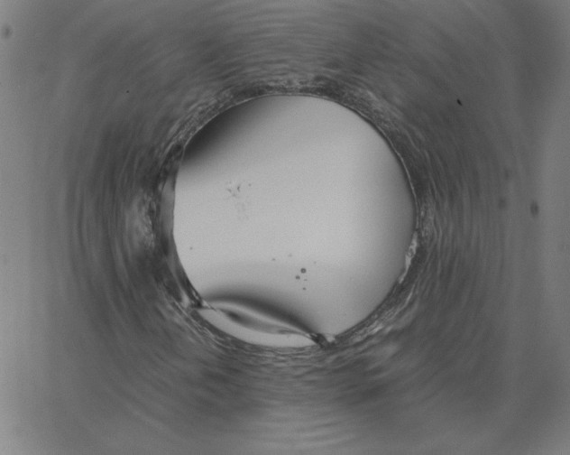 X0000067521202200604281625