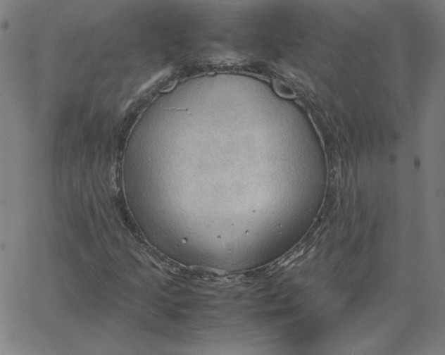 X0000067521205200604281625