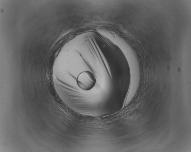 X0000067521206200604281625