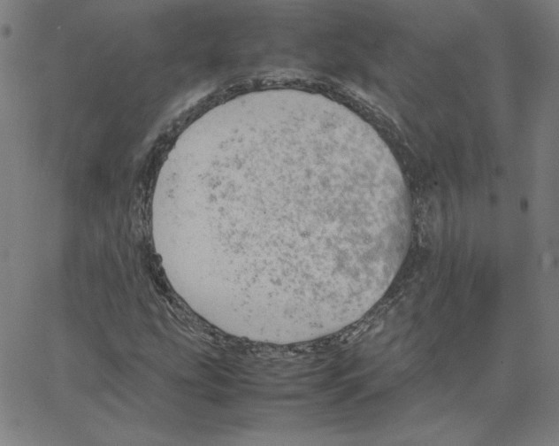 X0000067521207200604281625