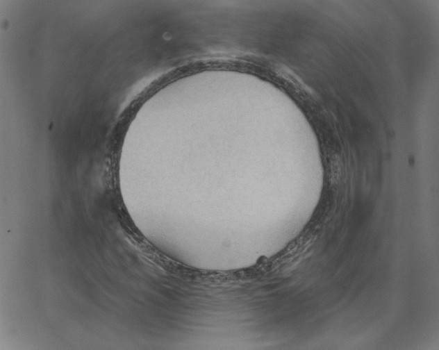 X0000067521208200604281625