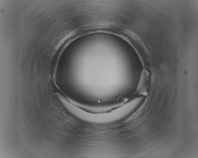 X0000067521210200604281625