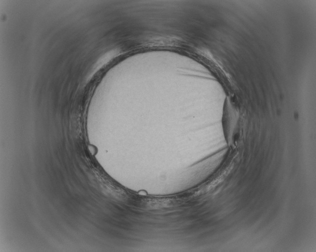 X0000067521211200604281625