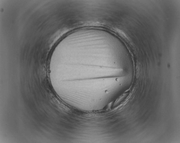 X0000067521212200604281625