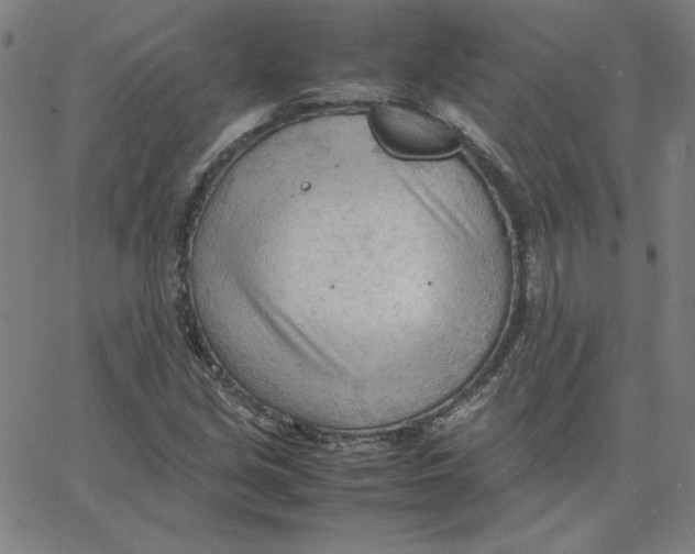 X0000067521213200604281625