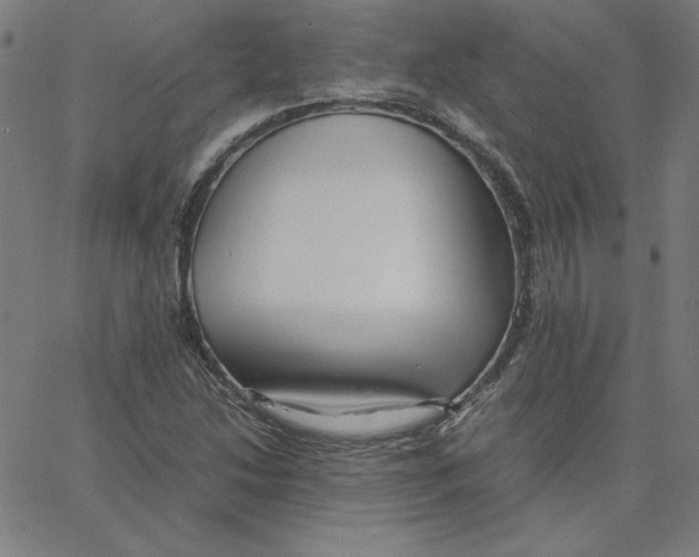 X0000067521214200604281625