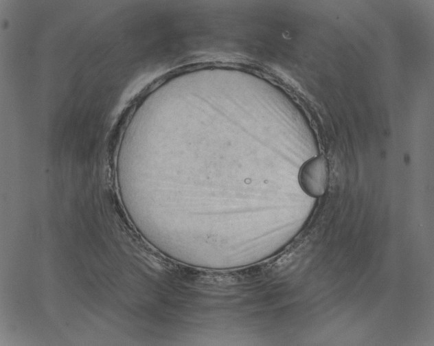 X0000067521215200604281625